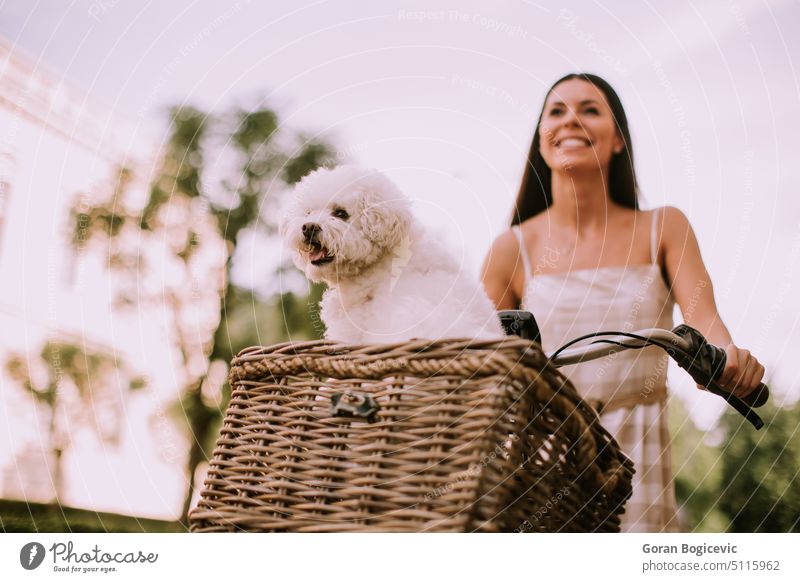 Young woman with white bichon frise dog in the basket of electric bike active activity adult animal beautiful bicycle caucasian cycling day exercise female