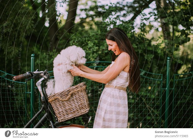 Young woman putting white bichon frise dog in the basket of electric bike active activity adult animal beautiful bicycle caucasian cycling day exercise female