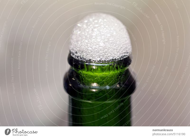 Bottle sparkling wine Sparkling wine fill Neck of a bottle Foam Bubbles Carbonic acid Air Alcoholic drinks sparkling wine production Green