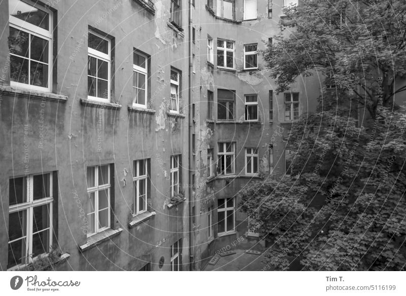 Berlin backyard Prenzlauer Berg Backyard bnw b/w Old building Black & white photo Town Downtown Capital city Day Deserted Old town Exterior shot Architecture