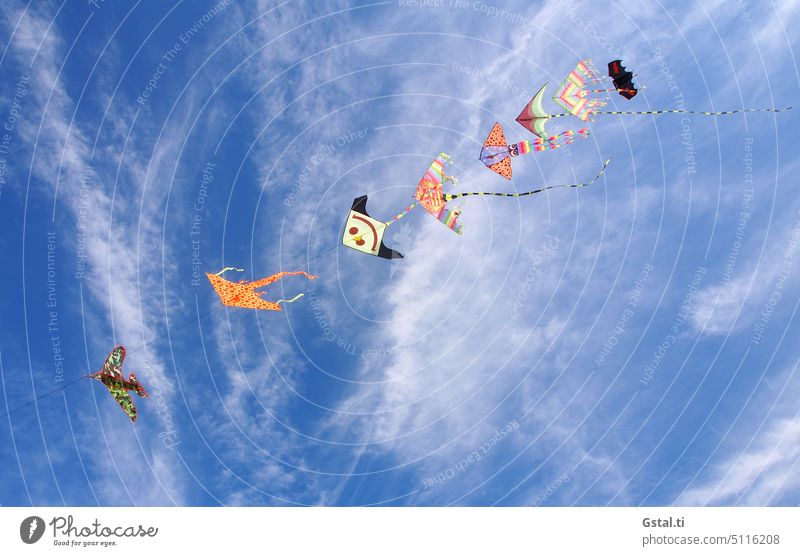 fly a kite Dragon kites leash cause to rise Sky Clouds Wind Sun vacation Nature funny faces