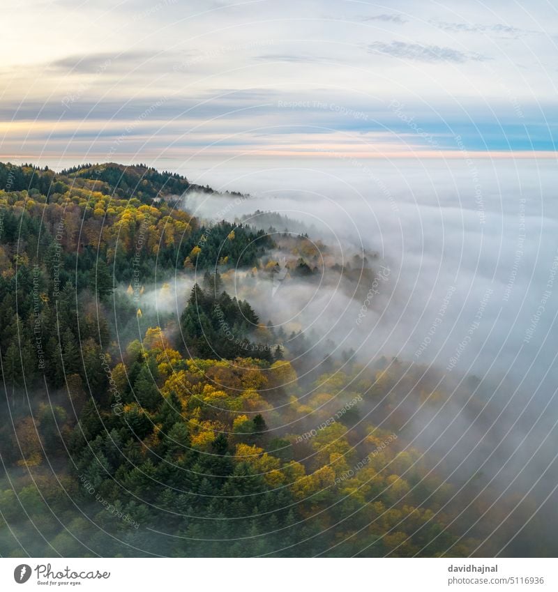 Panoramic view on the Odenwald near Lampenhain and fog over the Rhine Valley. aerial aerial view forest tree autumn germany europe landmark sight sightseeing