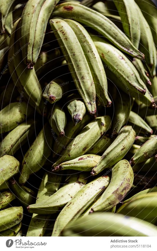 Heap of unripe bananas on market heap fresh green many fruit food background organic vitamin agriculture natural local farm plantation sell whole sweet product