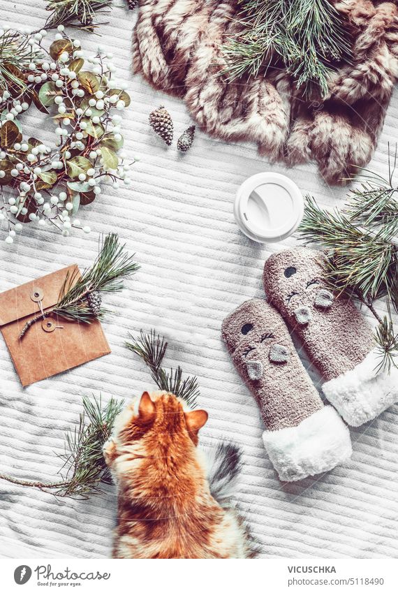 Cozy winter and Christmas lifestyle with fir branches, warm handmade socks  , ginger cat and envelope on white blanket, top view. Frame - a Royalty  Free Stock Photo from Photocase