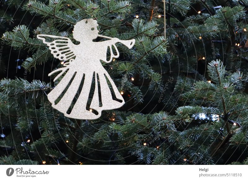 Merry Christmas - trumpeting angel as decoration on a fir tree Angel Christmas & Advent Decoration Christmas decoration Christmas tree Feasts & Celebrations