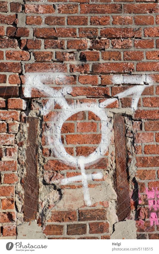 Symbol of diversity painted with white paint on old broken red brick wall miscellaneous symbol Sign Wall (barrier) Wall (building) Old Broken masculine feminine