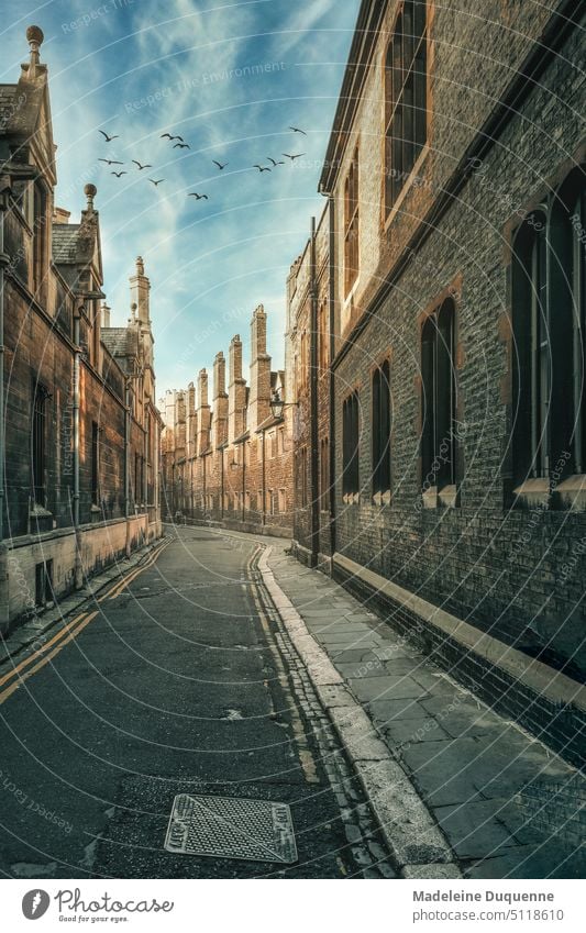 Street in the famous university city of Cambridge in England university town touristic known uk United Kingdom Brick Brick houses street photography Sunrise