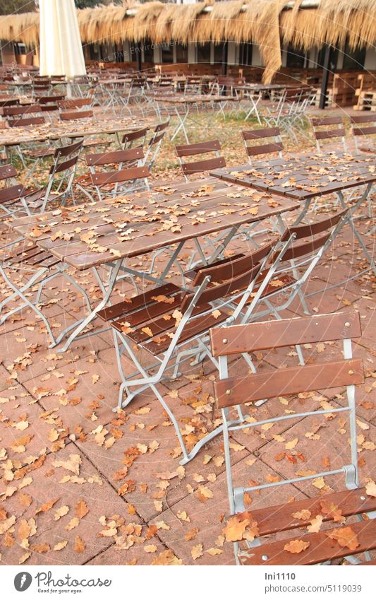 it has become autumn in the garden café Autumn sunshine silent Deserted Excursion site Closed forsake sb./sth. Terrace Outdoor furniture Folding chairs Metal