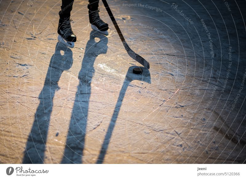 Ice hockey on the frozen lake Leisure and hobbies Village Sports Playing Ice-skates Light Shadow Winter Frost Cold Lake Frozen surface Joy Contrast Human being
