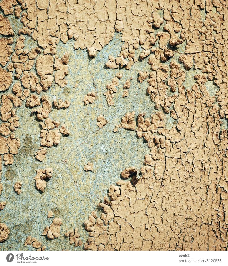 Altocker Colour Old Flake off Long shot Segments Ravages of time Transience Tracks Decline Detail Destruction Structures and shapes cracks Dry Broken Shabby