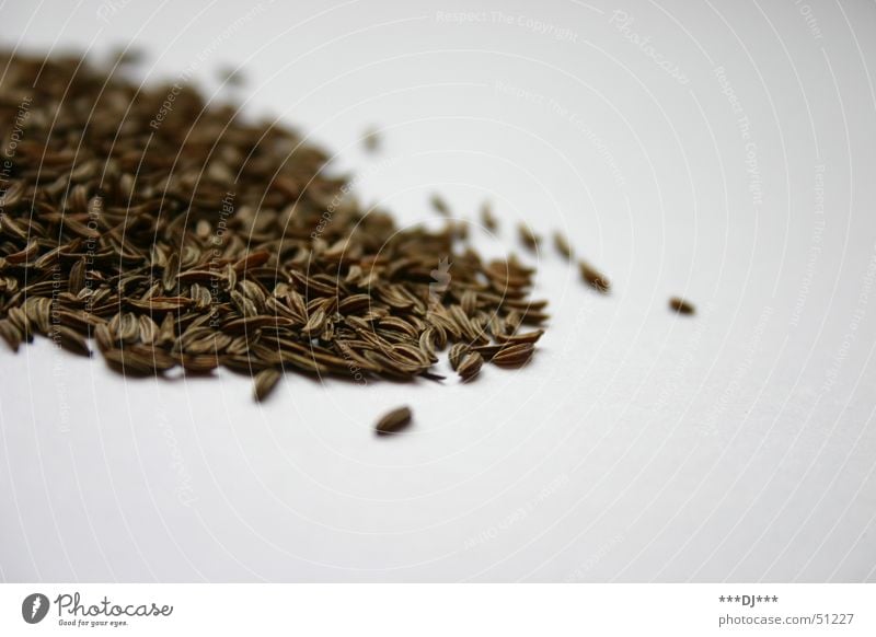 caraway Cumin Herbs and spices Ingredients Refine Grain Brown Nutrition Seed Food photograph Bright background Copy Space Heap Spicy