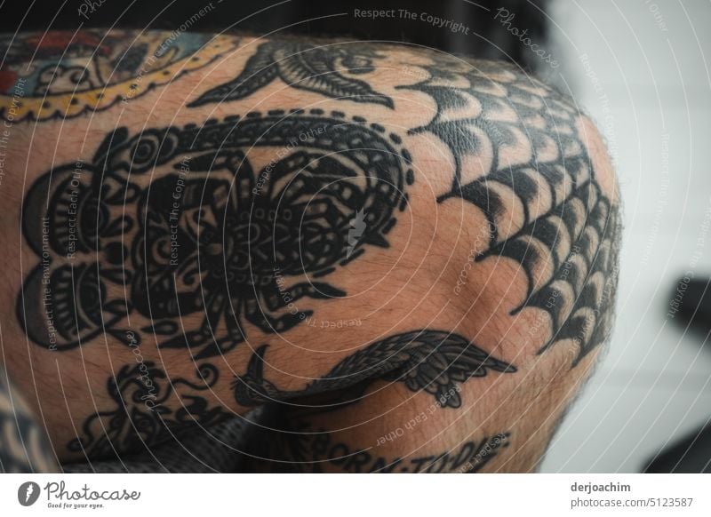 Scorpio man tattoos portrait Day Skin variegated Close-up pretty Exceptional Tattooed Colour photo Adults Human being Art Contrast Body consciousness Impressive