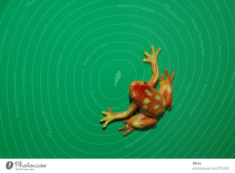 frog Red Green Cupboard Frog Orange relb