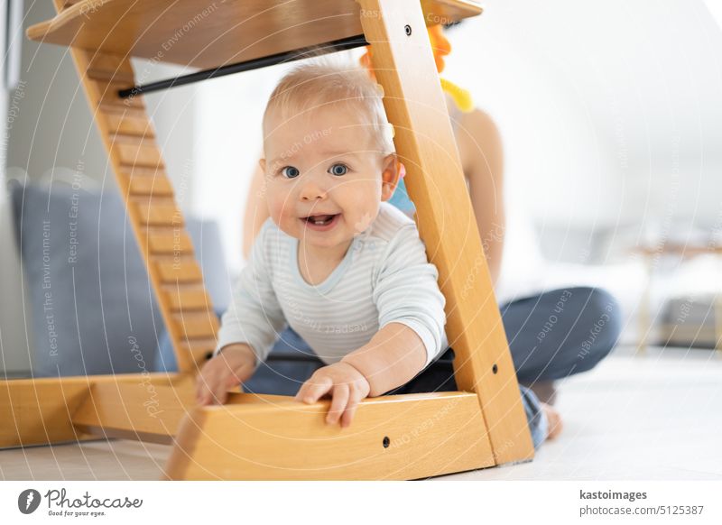 Happy infant climbing under traditional scandinavian designer wooden high chair and in modern bright home. Cute baby smiling in camera child happy cute kid