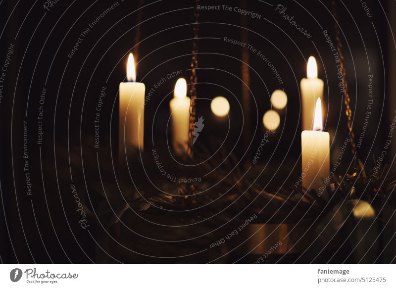 Die Lichter brennen Advent Adventskranz Kerzen leuchten Nacht Dunkelheit Wärme dunkel Zweige Tanne Tannenzweige golden Deko Interior Dekoration Weihnachten