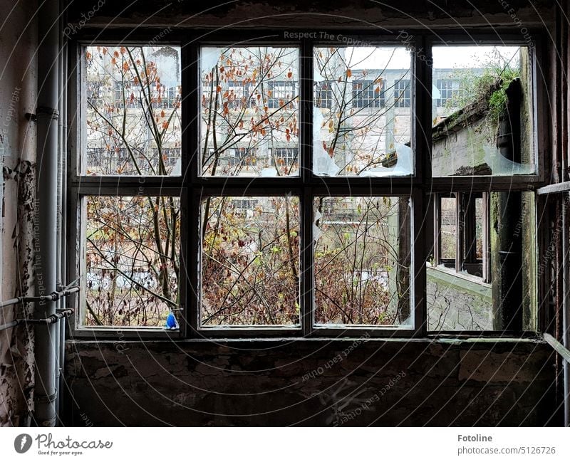 View from a destroyed window onto old factory buildings. In this lost place, nature reclaims what was taken from it. lost places forsake sb./sth. Old Derelict