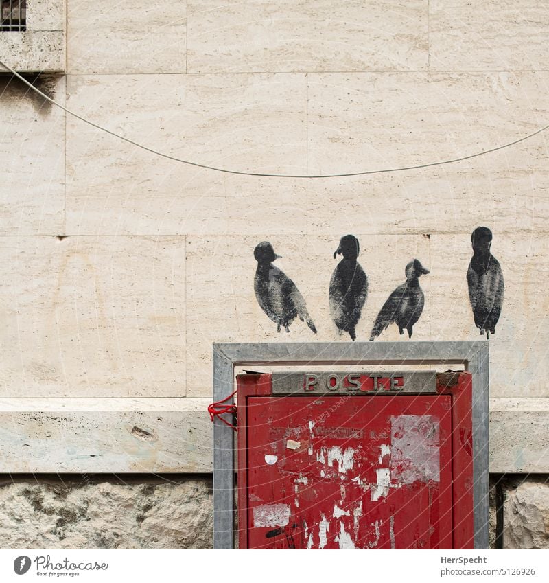 Grafitto birds sitting on mailbox Mailbox graffiti urban Wall (building) Town Red Bird Black four Colour Wall (barrier) Italy Sit sedentary mural painting Cute