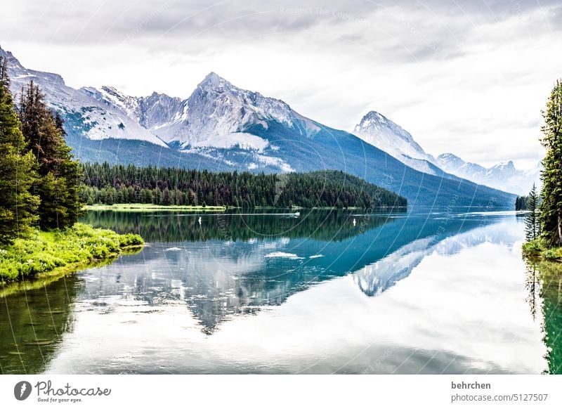 world mirror Clouds Alberta Adventure Freedom Jasper national park Lake Mountain Canada Forest Landscape trees Exterior shot Nature Rocky Mountains