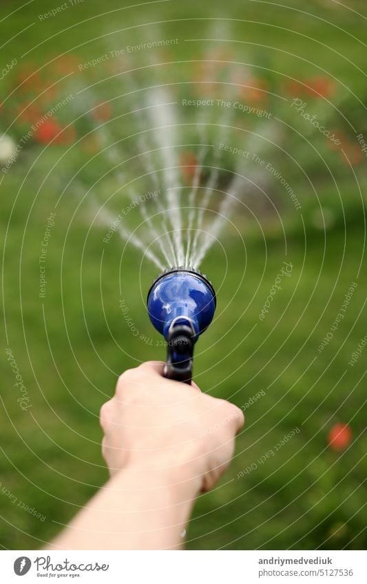 Gardener's hand holds a hose with a sprayer and watered the plants in the garden. sprinkling pressure tool stream sprinkler irrigate pipe nozzle hosepipe yard
