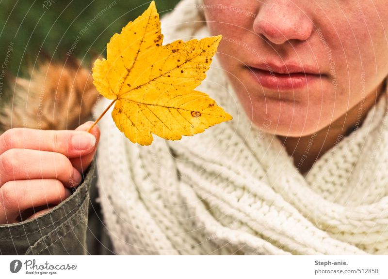 Hello autumn! Feminine Nose Mouth Hand 1 Human being Autumn Leaf Jacket Scarf To hold on Natural Yellow Moody Beginning Apocalyptic sentiment Transience Change