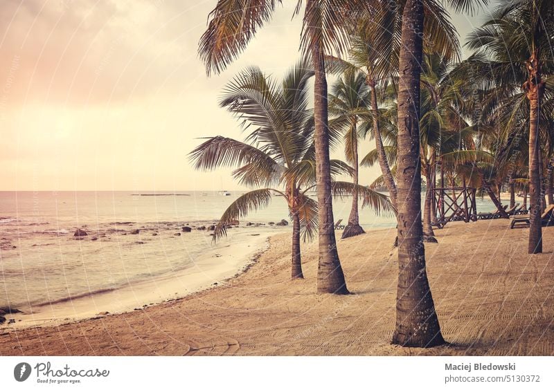 Color toned picture of Caribbean beach at sunset. mexico sand palm yucatan summer beautiful nature retro vacation sea tropical travel caribbean sky water tree