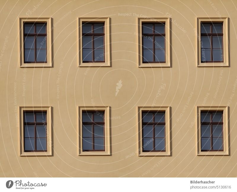Beige house facade with eight wooden windows Window Facade Exterior plaster Plaster on the outside House front Wooden window facade design Apartment Building