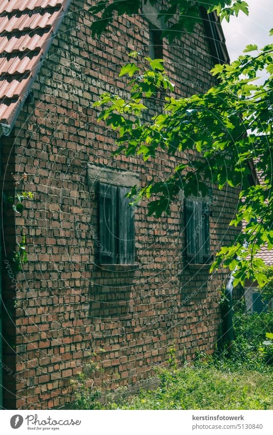 Old brick house with shutters under trees House (Residential Structure) Past Transience Decline Window Wall (barrier) Colour photo Facade Deserted