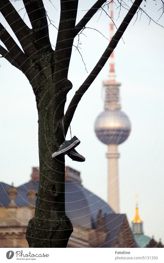 A pair of shoes hanging on a branch of a tree. Out of focus in the background, the Berlin TV tower. Downtown Berlin Capital city Town Architecture Exterior shot
