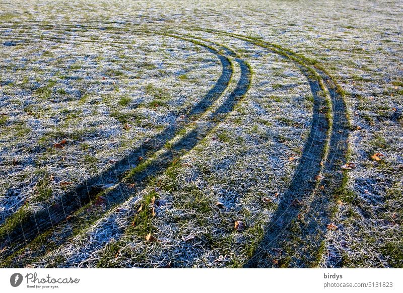 Tire tracks on a frozen meadow Skid marks Meadow Frost Winter Snow track Cold Tracks Offroad Curve Cornering