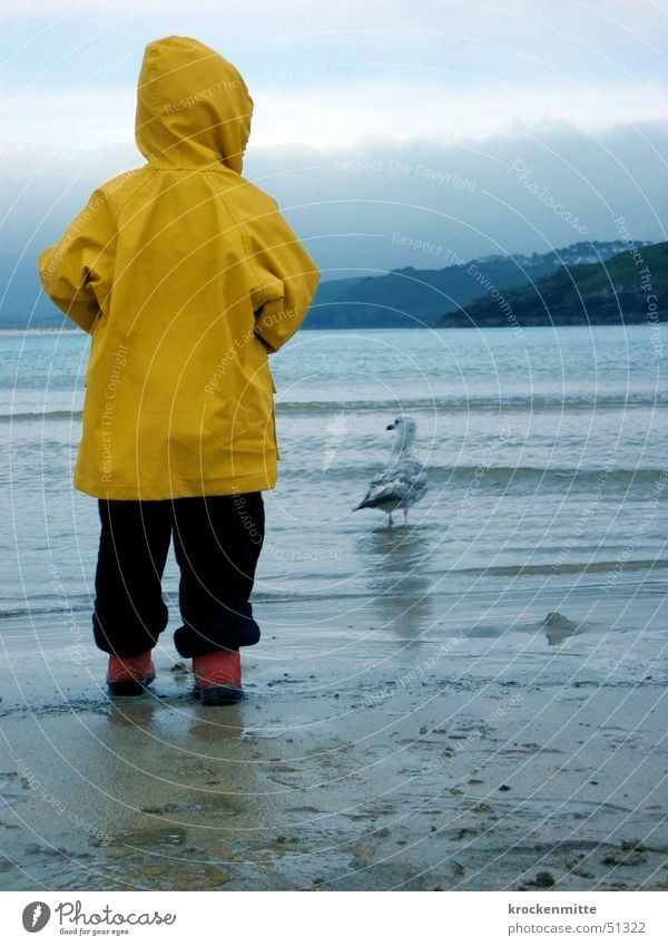 seagull Child Yellow Seagull Raincoat Boots Red Ocean England Beach Clouds Hooded (clothing) Water Sand sand tracks Observe Boy (child) Rear view boy