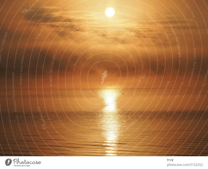 Müritz am Morgen – Sonnenaufgang mit schöner Wolkenbildung See Binnensee Morgenröte Morgenrot Licht beleuchtet Wind Wellenbildung Wasser Wellengang Wellenschlag