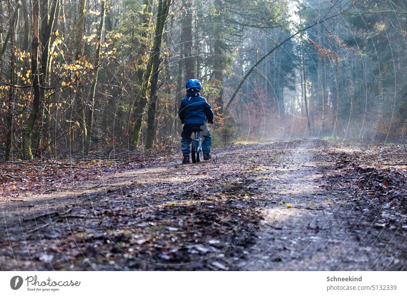 Boy on running bike in forest Child Toddler Infancy impeller Movement Forest forest path out Shaft of light Beam of light Mood lighting leaves Mixed forest