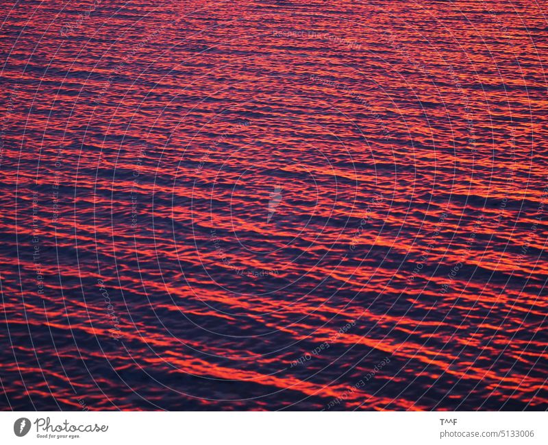 Müritz am Morgen – schöne Wellenbildung bei Sonnenaufgang See Binnensee Mecklenburg Wellenschlag Wellengang Wind beleuchtet Licht Morgenrot Morgenröte
