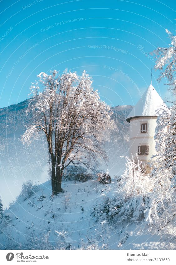 A castle in winter Lock Winter sheik Sky Tree Country life White