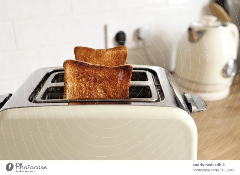 Modern white toaster and roasted bread slices toasts inside on wooden table in kitchen breakfast food appliance healthy toasted background home meal snack
