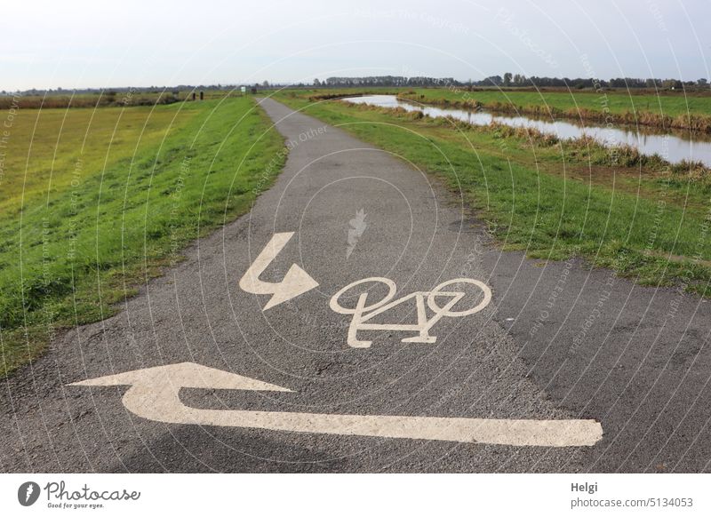 directional arrows on a bicycle path in the moorland meadows at the Dümmer lake Cycle path Arrow characteristics Direction groundbreaking Bicycle Cycling Meadow