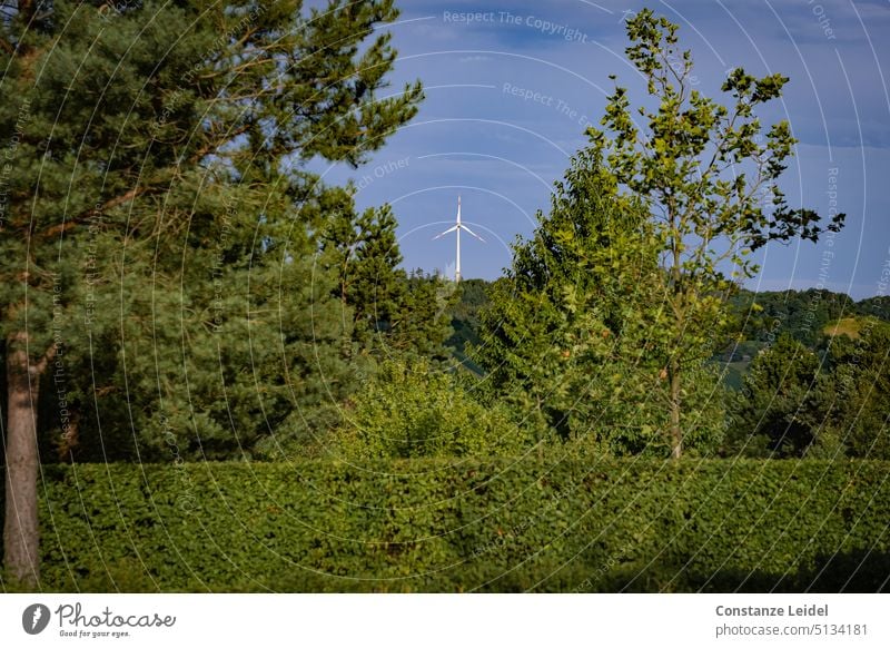 Hedges and trees with windmill against blue sky. Pinwheel Nature Energy Energy generation Landscape hedges Wind Wind energy plant Energy industry