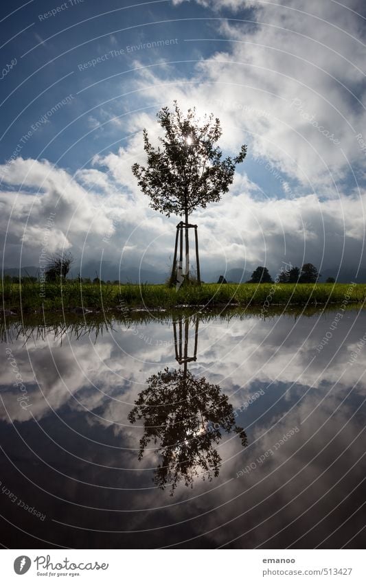 mirror growth Trip Environment Nature Landscape Plant Water Sky Clouds Horizon Weather Tree Grass Garden Meadow Field Pond Lake Growth Small Protection Feeble