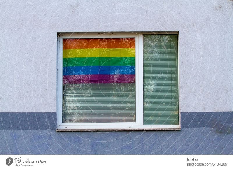 Rainbow flag in a window rainbow flag Window Homosexual Equality Tolerant Love variety LGBTQ equality Symbols and metaphors Pride Transgender lesbian gay