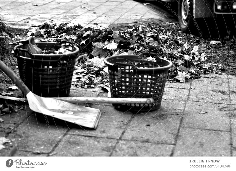 Taking a break before spring cleaning: city gardeners at work disposing of autumn leaves with baskets and shovels Autumn leaves rake leaves