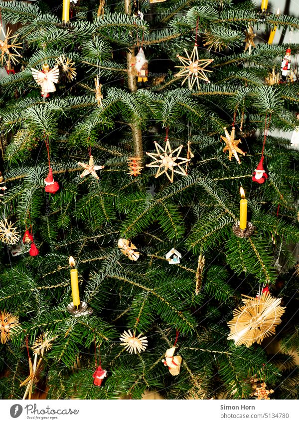 Christmas tree candles Tree candles Christmas & Advent Christmas decoration Tradition Christmas tree decorations Festive Feasts & Celebrations fir tree