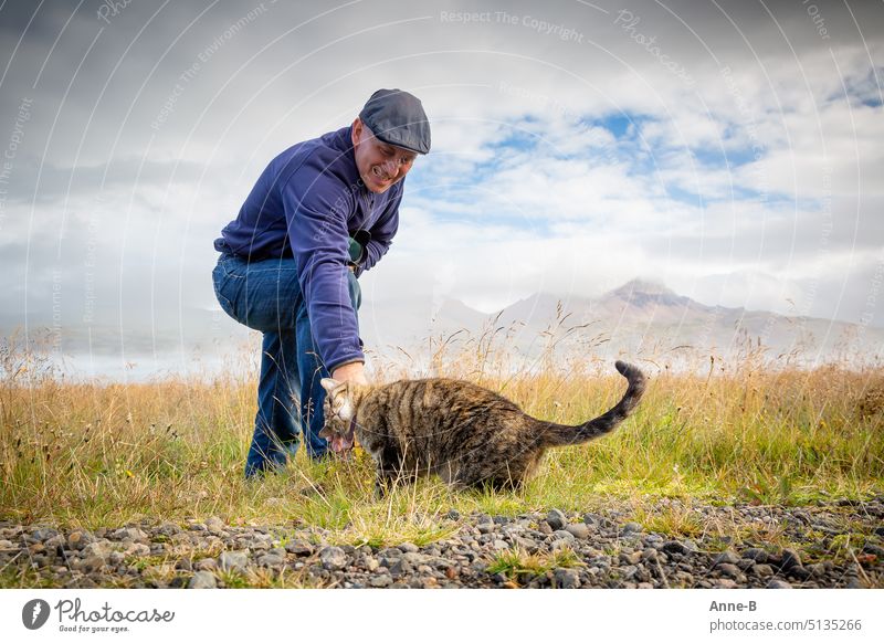 a man stroking a cat smiling in a beautiful landscape with flowering grass and mountainous background and cloudy sky. Man middle 50 fond of animals Cat kitten
