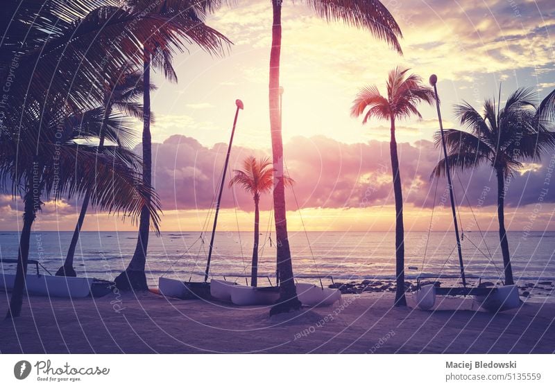 Caribbean tropical beach with small catamarans and coconut palm trees silhouettes at sunset, color toning applied, Mexico. sea nature sailboat ocean retro sky