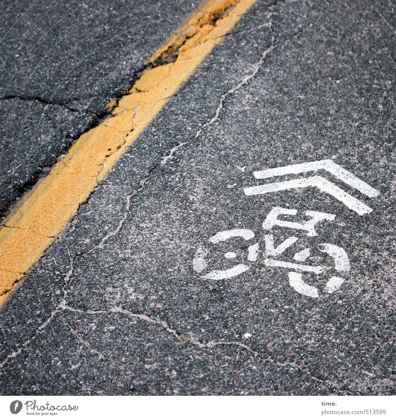Covered bicycle path Transport Traffic infrastructure Road traffic Cycling Street Lanes & trails Center line Asphalt Concrete floor Lane markings Traffic lane