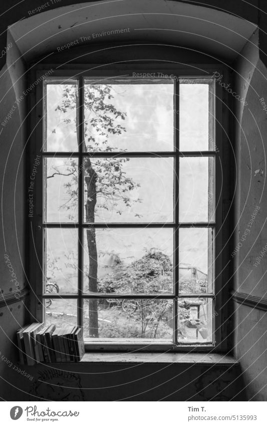 Staircase Berlin Staircase (Hallway) Book b/w Prenzlauer Berg Downtown Town Capital city Black & white photo Day Interior shot Window Summer Deserted Old town