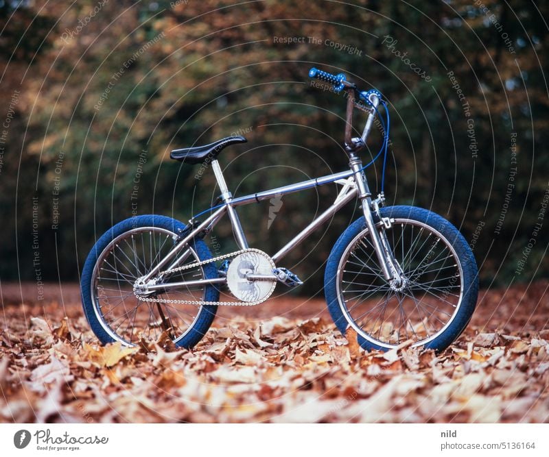 Oldschool BMX on autumn forest path BMX bike Bicycle cycling vintage 80s singlespeed Colour photo Mobility Leisure and hobbies Cycling steel frame Chrome
