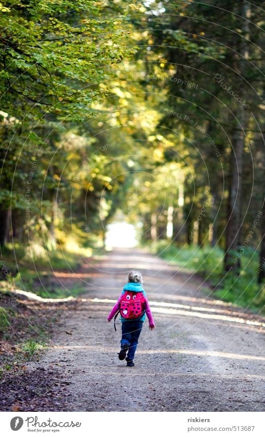 wanderlust Human being Feminine Child Girl Infancy 1 3 - 8 years Environment Nature Landscape Autumn Beautiful weather Forest Discover Running Hiking Free