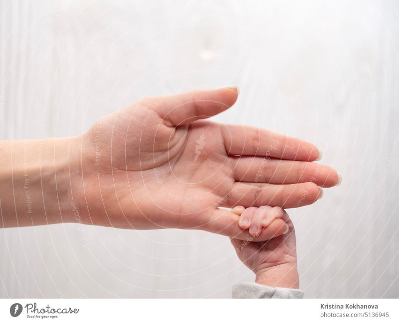Newborn baby's hand holding finger of his loving mother. Concept of love and family. White background newborn child care childhood innocence tiny birth father