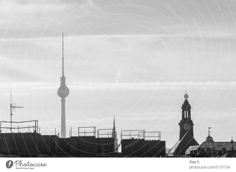 View of the television tower from Prenzlauer Berg Television tower b/w Berlin Downtown Town Capital city Black & white photo Exterior shot Deserted Day Old town