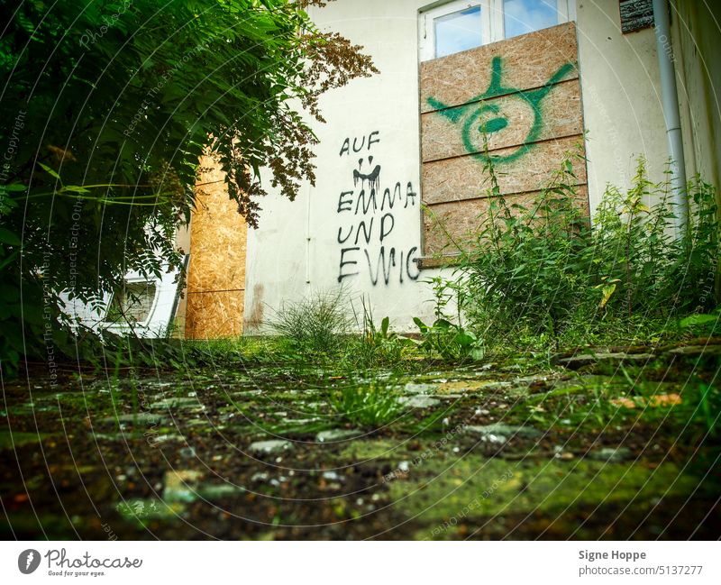 Graffiti "Auf Emma und ewig" an Hauswand im zugewachsenen Hinterhof eines Abbruchhauses. Graffito Abrisshaus Unkraut zugenageltes Fenster Holzplatten vor